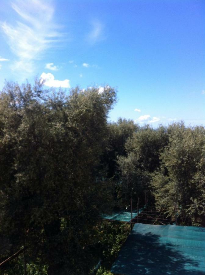 Casa Iolanda Villa Sorrento Luaran gambar